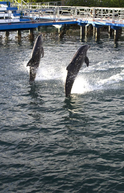 Parque Natural Bahía de Naranjo y Delfinario